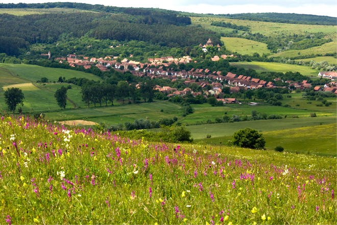 The landscape can only be kept alive by working with local farming communities