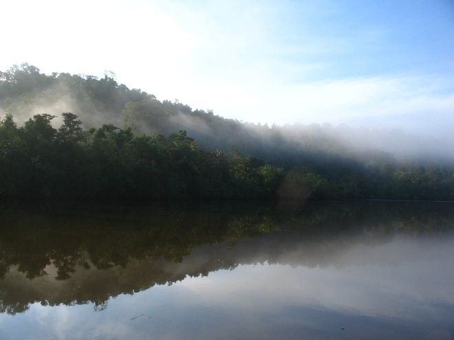 Riverforestyaldaimg 2649