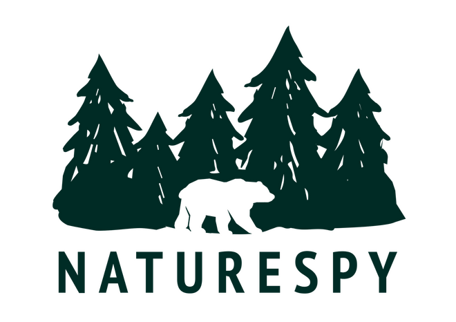 Combined text and mark logo