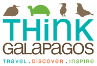 TG Logo