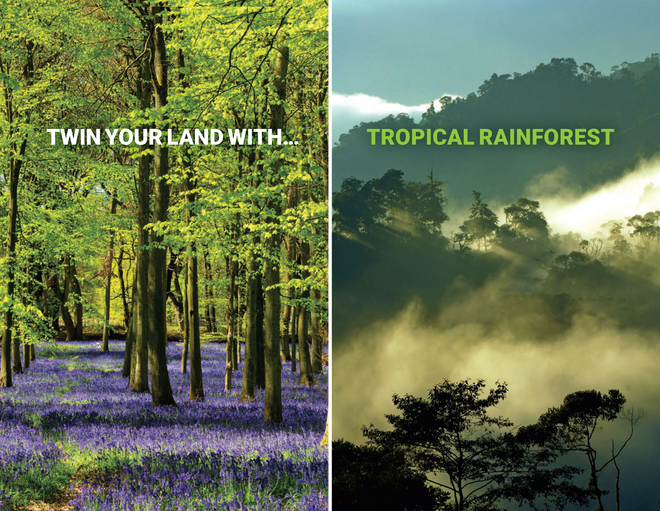 FOREST TWINNING IMAGE