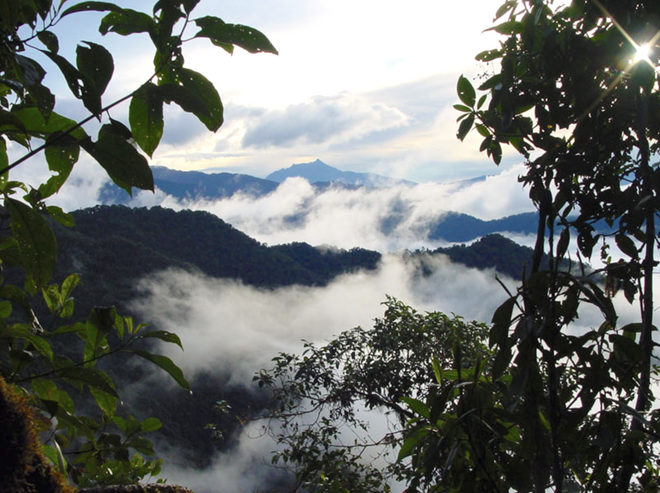 Screenshot 2021 07 02 at 09 49 10